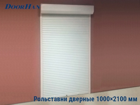 Рольставни на двери 1000×2100 мм в Сургуте от 27219 руб.
