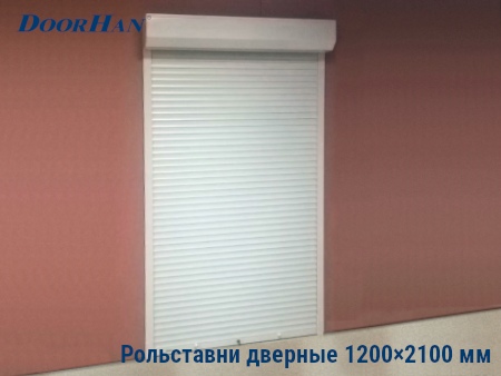 Рольставни на двери 1200×2100 мм в Сургуте от 29983 руб.